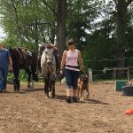 Reiten-170521-02