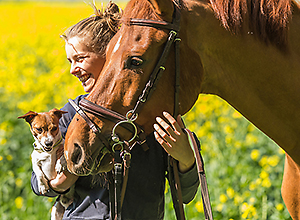 dog-event-reiten-3 dog-event-reiten-3