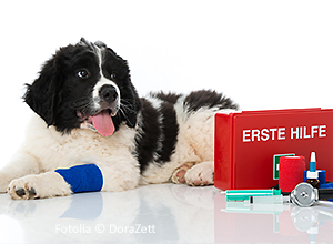 erste-hilfe-1 erste-hilfe-1
