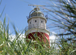 texel-2 texel-2