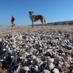 texel-dosoco-walk-180513-01