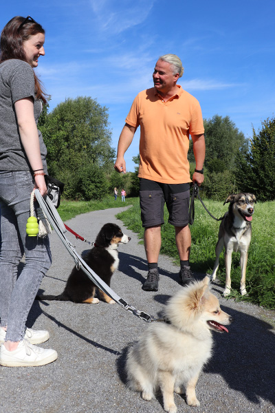 welpen-hundeschule-spaziergang