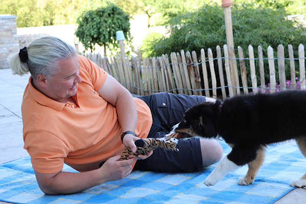 welpen-hundeschule-spiel