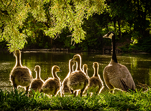 wildpark-2 wildpark-2