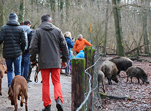 dog-event-gangelt-4 dog-event-gangelt-4