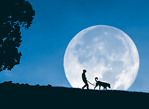 dog-event-vollmond-1 dog-event-vollmond-1