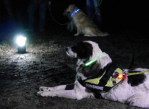 dog-event-vollmond-5 dog-event-vollmond-5