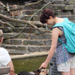 dosoco-walk-zoo_0458