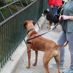 dosoco-walk-zoo_0459