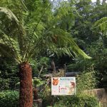 dosoco-walk-zoo_0465