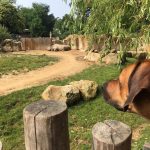 dosoco-walk-zoo_0468