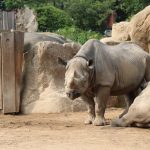 dosoco-walk-zoo_0469