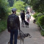 dosoco-walk-zoo_0477