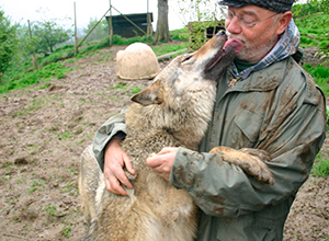 woelfe-dog-event-1 woelfe-dog-event-1