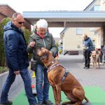 Dog-Team-Tag-190414-08