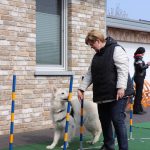 Dog-Team-Tag-190414-10