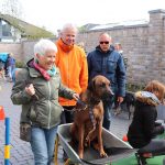 Dog-Team-Tag-190414-19