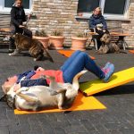 Dog-Team-Tag-190414-44