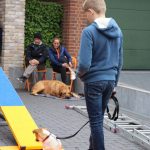 Dog-Team-Tag-190501-30