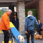 Dog-Team-Tag-190501-31