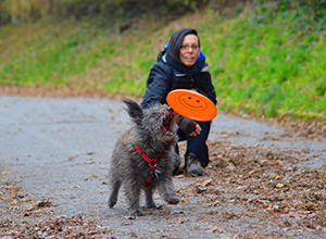 workshop-dog-frisbee-3