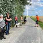 hundeschule-karlstedt-gruppenstunde-profis-juli-2021-01