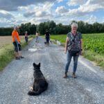 hundeschule-karlstedt-gruppenstunde-profis-juli-2021-04