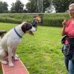 hundeschule-karlstedt-gruppenstunde-profis-juli-2021-07