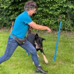 hundeschule-karlstedt-gruppenstunde-profis-juli-2021-13