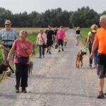 hundeschule-karlstedt-gruppenstunde-starter-juli-2021-07