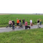 hundeschule-karlstedt-gruppenstunde-starter-juli-2021-10