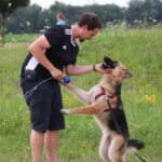 hundeschule-karlstedt-gruppenstunde-starter-juli-2021-11