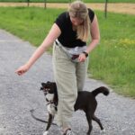 hundeschule-karlstedt-gruppenstunde-starter-juli-2021-12