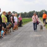 hundeschule-karlstedt-gruppenstunde-starter-juli-2021-17