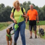 hundeschule-karlstedt-gruppenstunde-starter-juli-2021-18