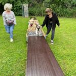 hundeschule-karlstedt-naturparcours-13