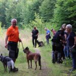 hundeschule-karlstedt-pielsbusch-juli-2021-03