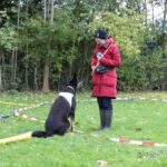 hundeschule-karlstedt-gruppenstunde-10-2021-01