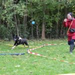 hundeschule-karlstedt-gruppenstunde-10-2021-02