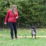 hundeschule-karlstedt-gruppenstunde-10-2021-03