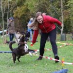 hundeschule-karlstedt-gruppenstunde-10-2021-04