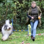 hundeschule-karlstedt-gruppenstunde-10-2021-06