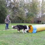 hundeschule-karlstedt-gruppenstunde-10-2021-08