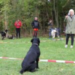 hundeschule-karlstedt-gruppenstunde-10-2021-09