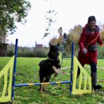 hundeschule-karlstedt-gruppenstunde-10-2021-11