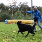 hundeschule-karlstedt-gruppenstunde-10-2021-12