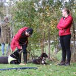 hundeschule-karlstedt-gruppenstunde-10-2021-13