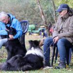 hundeschule-karlstedt-gruppenstunde-10-2021-14