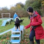 hundeschule-karlstedt-gruppenstunde-10-2021-15