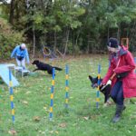 hundeschule-karlstedt-gruppenstunde-10-2021-18